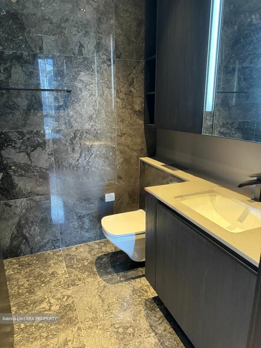3 Cuscaden (D10), Apartment #480519381